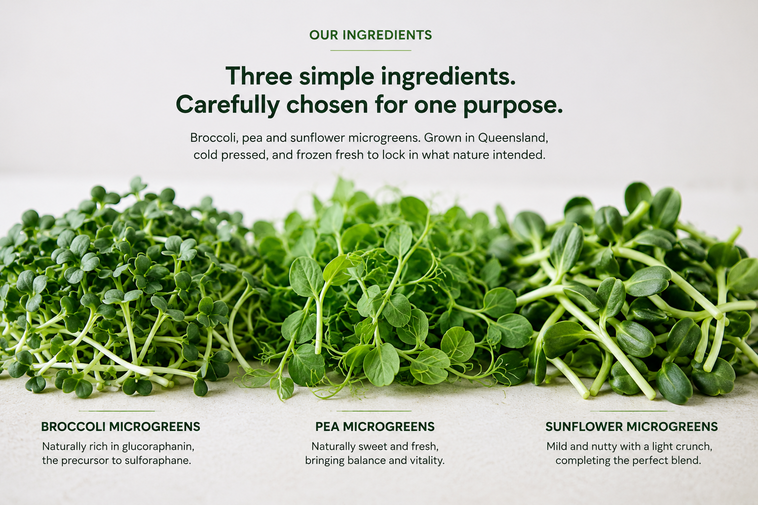 Fresh broccoli, pea and sunflower microgreens used in The Green Ninja